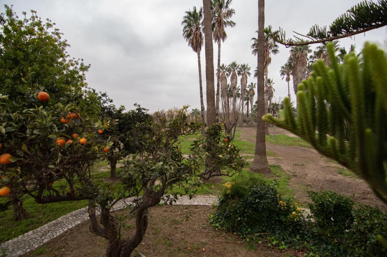 Villa Del Riu Deltebre Eksteriør bilde